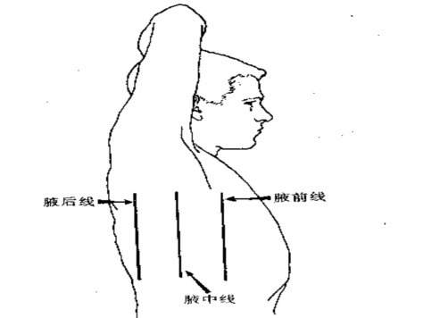 胸腔穿刺示意圖