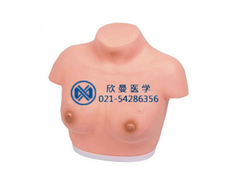 高級乳腺視診與觸診模型