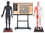 19-75寸多媒體人體針灸穴交互數(shù)字平臺(tái)